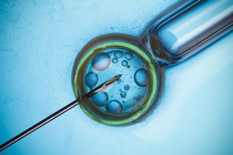 ivf oplodneni