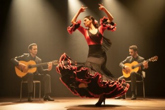 flamenco ideogram