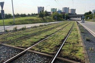 tramvaj foto  dpmb