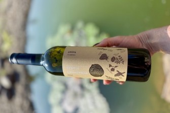 sampion vino tichy