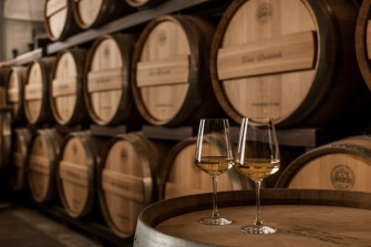 bile vino ideogram