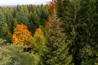 strom 2025 04 avcmendelu