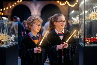 Harry Potter v Letohrádku Mitrovských