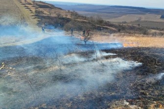 mendelu travnik ohen