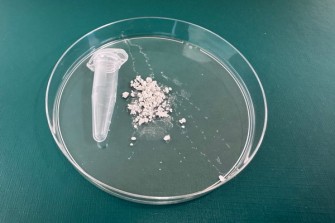 mikroplasty mendelu