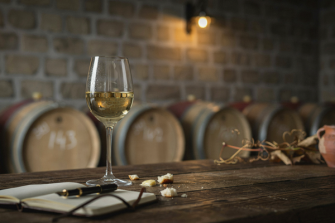 vino ideogram ryzlink
