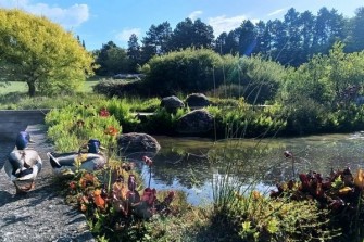 Arboretum-mendelu