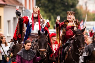 Pálavské-vinobrani-Archiv-poradatele