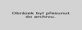 LOOS-web-1
