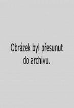 jaromir99