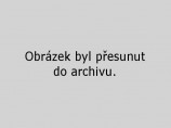 sikora