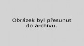 vidaafterdarkstar