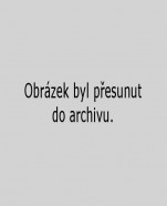 jaroslavkral