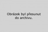 vanoc stromek