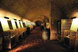 Salon vin CR 2014 1